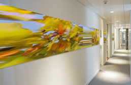 Langer Büroflur mit Fotokunstwerk